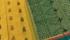 SAREES NEGAMAM WITH BLOUSE
